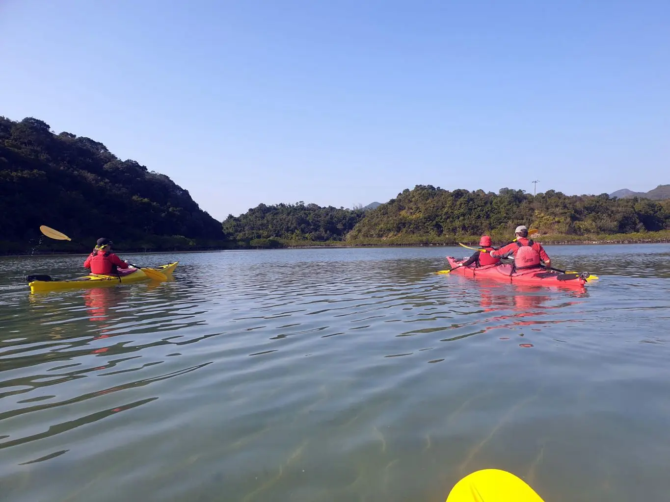 mangrove channel at Shelter bay