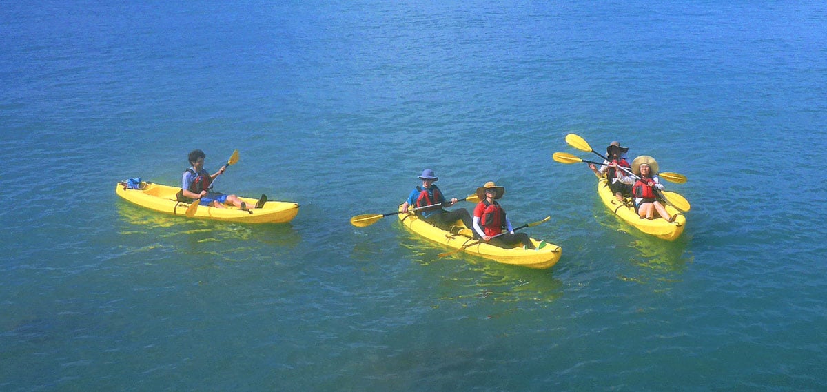 Sharp island kayak tour